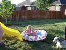 Sierra in pool with Libbie.JPG